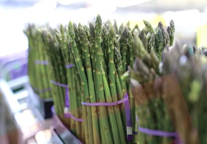 數(shù)智賦能 環(huán)球軟件助天府蘆筍“鮮”出圈