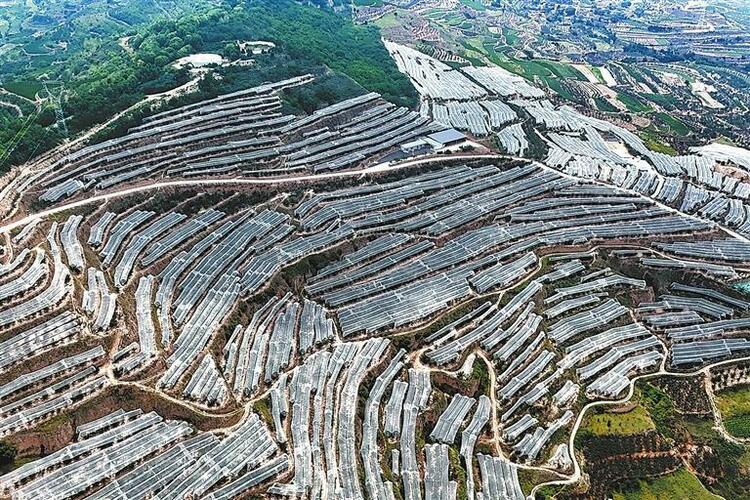 數字化賦能傳統(tǒng)農業(yè)走向“智慧未來”——探尋天水甘谷縣田間地頭的“新質生產力”