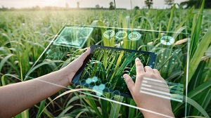 中國農(nóng)大發(fā)布神農(nóng)大模型3.0，農(nóng)業(yè)AI邁入“好用普惠”新階段