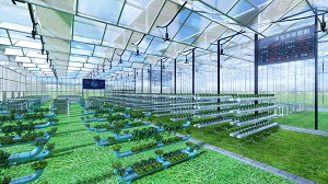 以“四個著力”加快新型農(nóng)業(yè)基礎(chǔ)設(shè)施建設(shè)